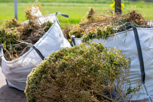 Best Trash Removal Near Me  in Georgetown, TX